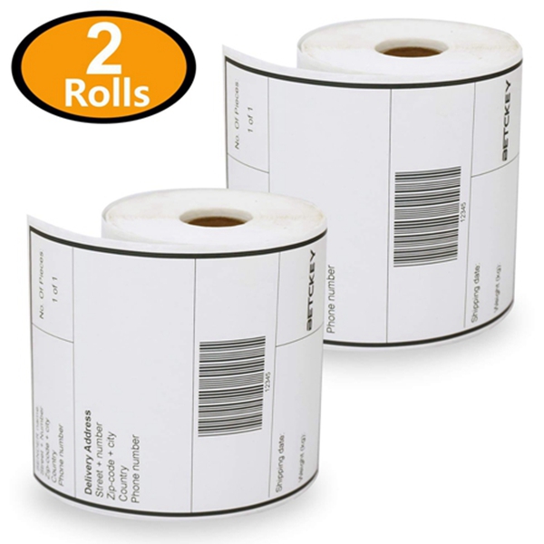 Racdde [2 Rolls, 250/Roll] 4" x 6" Direct Thermal Zebra/Eltron Compatible Shipping Labels - Premium Resolution & Adhesive 