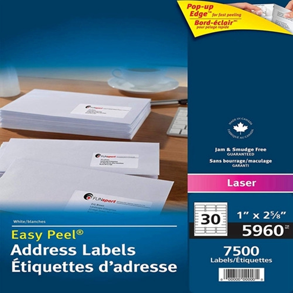 Racdde Address Labels with Easy Peel for Laser Printers, 1" x 2-5/8", White, Rectangle, 7500 Labels, Permanent (5960) Made in Canada for The Canadian Market 
