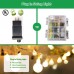  Racdde Globe String Lights, 49ft 100 LED Warm White Waterproof Decorative Fairy String Lights Perfect for Indoor and Outdoor Use,Plug in String Lights with 29V Low Voltage Transformer 