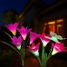 Racdde Solar Flower Lights, Solar Lights Outdoor Garden Decorative with 7 Lily Flower 1 Butterfly for Yard Patio Lawn Garden Decorations (Purple + Red) 