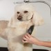 Racdde Premium Pet Grooming Tools 