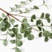 Racdde 6 Pcs Artificial Greenery Stems Eucalyptus Leaf Spray in Green Silk Plastic Plants Floral Greenery Stems for Home Party Wedding Decoration