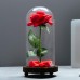 Racdde "Beauty and The Beast Artificial Silk Rose in Glass Dome on a Wooden Base Gift for Valentine's Day Anniversary Birthday