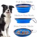 Racdde 2 Pack Collapsible Dog Bowl, Slow Feed Dog Bowl, Foldable Pet Travel Bowl, Portable Slow Feeder Cat Bowl, for Outdoor Camping Pet Food Water Feeding Large Size Green and Blue 