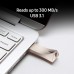 Racdde BAR Plus USB 3.1 Flash Drive 128GB - 300MB/s (MUF-128BE3/AM) - Champagne Silver 