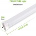 Racdde T8 T10 T12 LED Tube Light 8FT 50W [100W Equivalent] 5000lm 5000K Daylight Frosty, FA8 Dual-End Powered Ballast Bypass F96T12 Fluorescent Replacement, Garage, Warehouse, Shop Light-12 Pack 