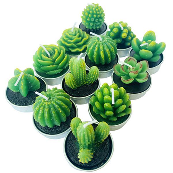 Racdde Cactus Tealight Candles,Handmade Delicate Succulent Tea Light Candle Holder for Valentine's Day Birthday Party Wedding Spa Home Decoration,12 Pcs in Pack. 