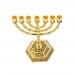 Racdde 12 Tribes of Israel Jerusalem Temple Menorah,7 Branch Hexagonal Base Jewish Candle Holder, Holy Land Gift (Menorah) 