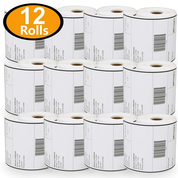 Racdde - 4" x 6" Blank Shipping Labels Compatible with Zebra & Rollo Label Printer(not for dymo 4XL),Premium Adhesive & Perforated[12 Rolls, 3000 Labels] 