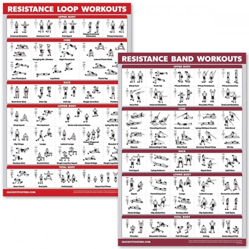 Racdde 2 Pack - Resistance Bands and Resistance Loops Workout Posters - Set of 2 Laminated Charts - Resistance Band Tubes and Loops Exercise Charts 