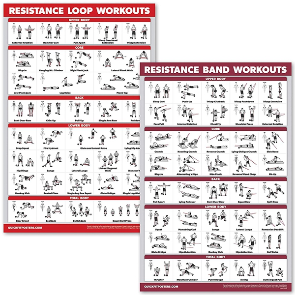 Racdde 2 Pack - Resistance Bands and Resistance Loops Workout Posters - Set of 2 Laminated Charts - Resistance Band Tubes and Loops Exercise Charts 