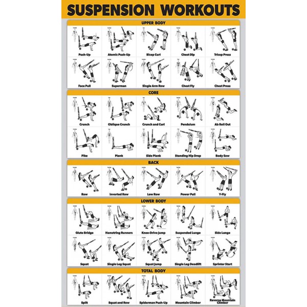Racdde Suspension Workout Exercise Poster - Double Sided (Laminated, 18" x 27") 