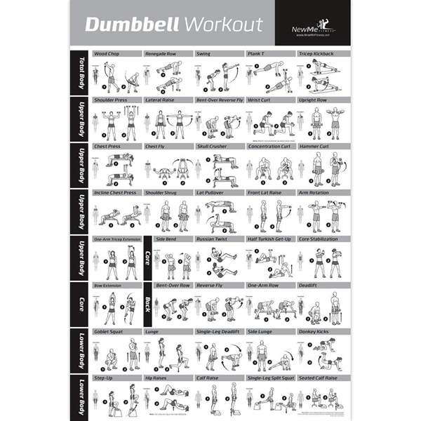 Racdde Dumbbell Workout Exercise Poster - Now Laminated - Strength Training Chart - Build Muscle, Tone & Tighten - Home Gym Weight Lifting Routine - Body Building Guide w/Free Weights