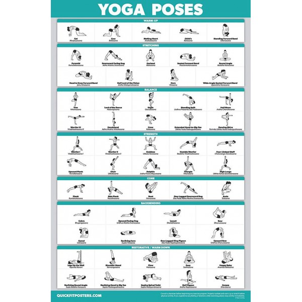 Racdde Yoga Poses Poster - Beginner Yoga Position Chart - English and Sanskrit Names - Double Sided (Laminated, 18" x 27") 