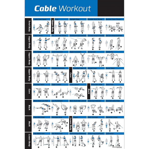 Racdde Laminated Cable Exercise Poster 20"x30" - Hang in Home or Gym :: Illustrated Workout Chart with 40 Cable Machine Exercises :: for All Fitness Levels, Men & Women 
