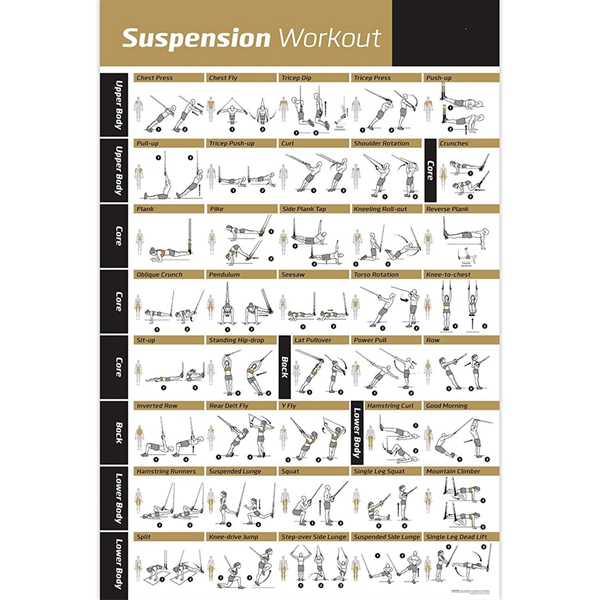 Racdde Suspension Exercise Poster Laminated - Strength Training Chart - Build Muscle, Tone & Tighten - Home Gym Resistance Workout Routine - Fitness Guide - Bodyweight Resistance 