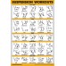 Racdde 10 Pack - Exercise Workout Poster Set - Suspension Volume 1 & 2, Dumbbell, Kettlebell, Resistance Bands, Stretching, Bodyweight, Barbell, Yoga Poses, Exercise Ball 