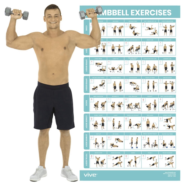 Racdde Dumbbell Exercise Poster - Home Gym Workout for Upper, Lower, Full Body - Laminated Bodyweight Chart for Back, Arm, Core and Legs - Free Weight Building Guide for Men, Women, Elderly (30" x 17") 