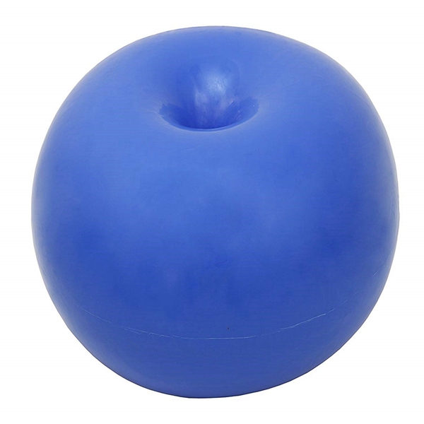 Racdde Donut Exercise, Workout, Core Training, Swiss Stability Ball for Yoga, Pilates and Balance Training in Gym, Office or Classroom 