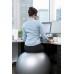 Racdde Brand Professional Physio Ball Chair for Office and Home 