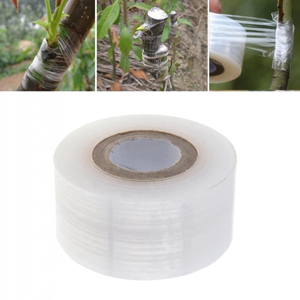 Racdde 3cm Wide Transparent Extensible Grafting Tape for Fruit Trees Garden Tools