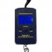 Racdde 40kg Mini Digital Scale For Fishing Luggage Travel Weighting Steelyard Portable Electronic Hanging Hook Scale
