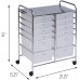 Racdde Rolling Storage Cart and Organizer with 12 Plastic Drawers 