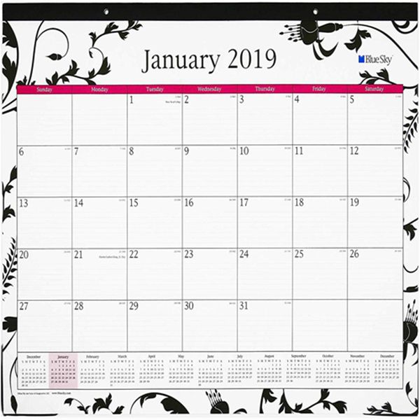 Racdde 2020 Monthly Desk Pad Calendar, Two-Hole Punched, Ruled Blocks, 22" x 17", Analeis 